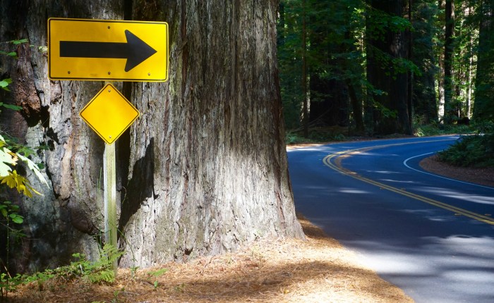 From Redwood forests to the Pacific Ocean